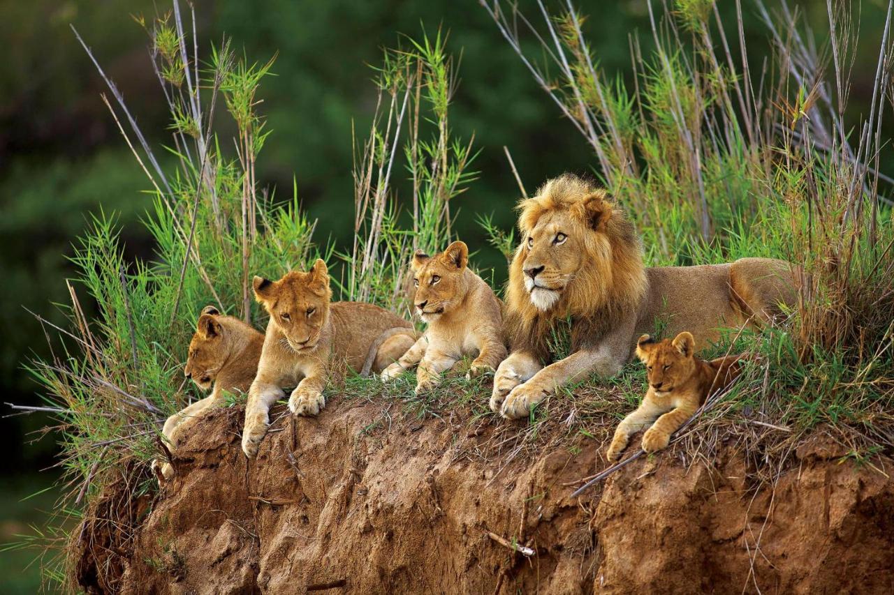 Kapama Game Reserve Kapama Karula 빌라 외부 사진
