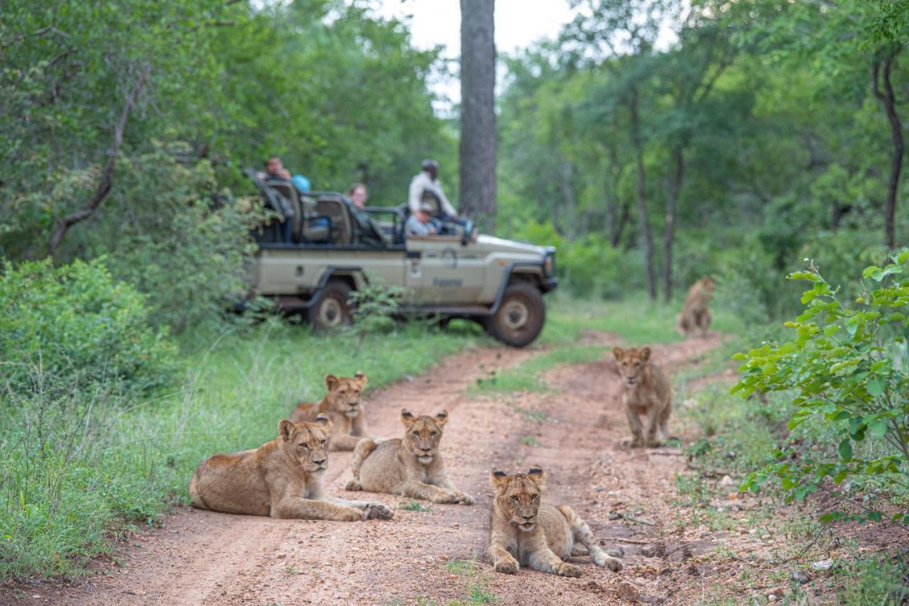 Kapama Game Reserve Kapama Karula 빌라 외부 사진