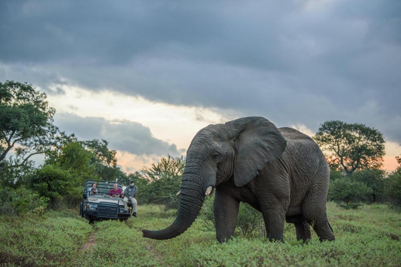 Kapama Game Reserve Kapama Karula 빌라 외부 사진
