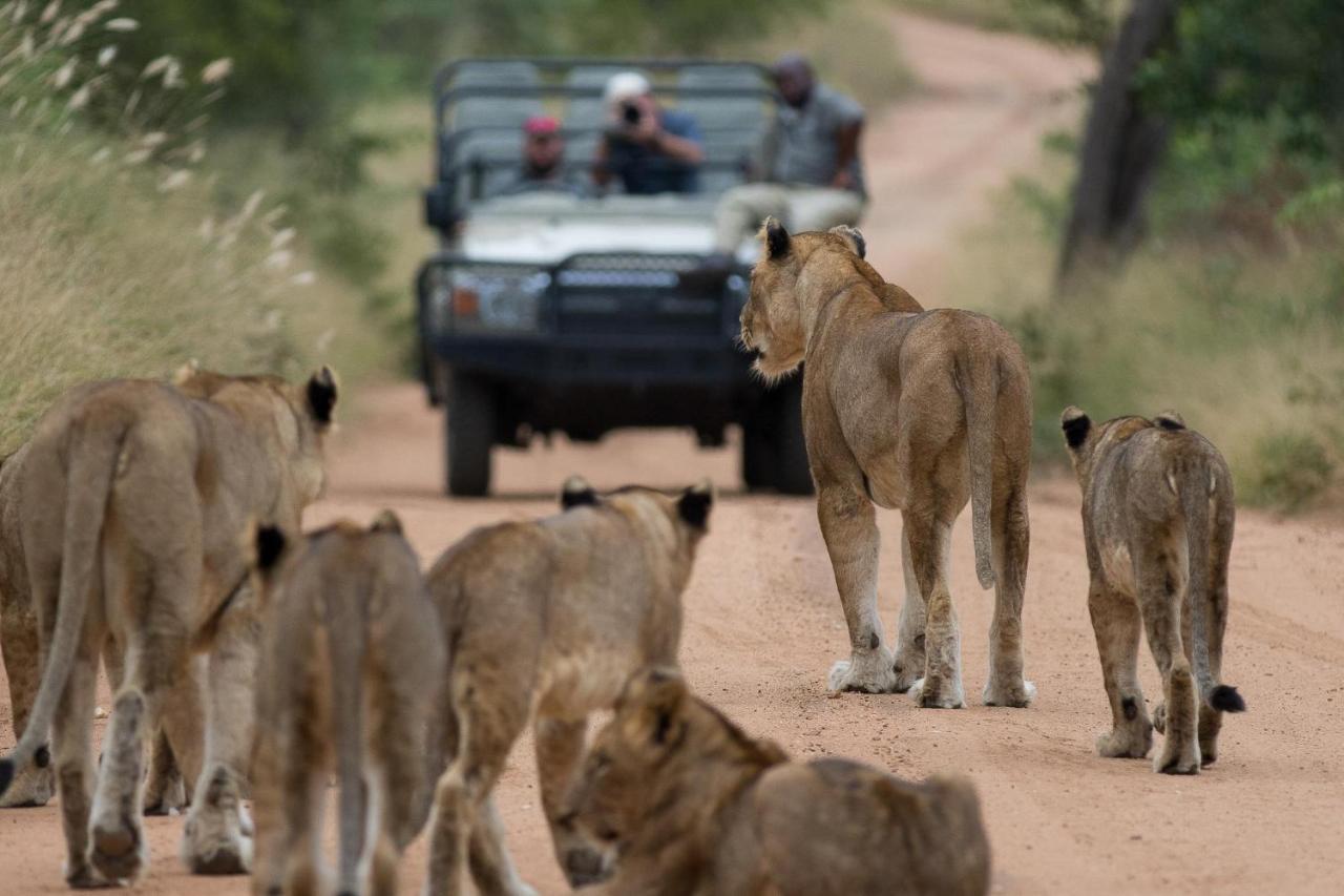 Kapama Game Reserve Kapama Karula 빌라 외부 사진