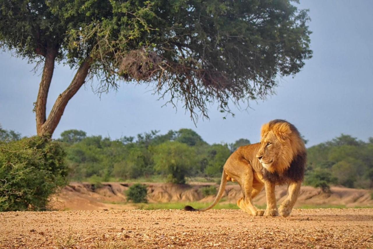 Kapama Game Reserve Kapama Karula 빌라 외부 사진